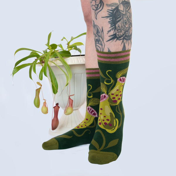 Unisex crew socks with an all-over pattern of pink and green pitcher plants on a dark green background with striped pink and green cuffs, green toes and heels. Shown worn by a model standing on a white background in front of a potted pitcher plant