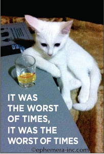 "It was the worst of times, it was the worst of times" text over photo image of white cat with shot glass of whiskey rectangular refrigerator magnet