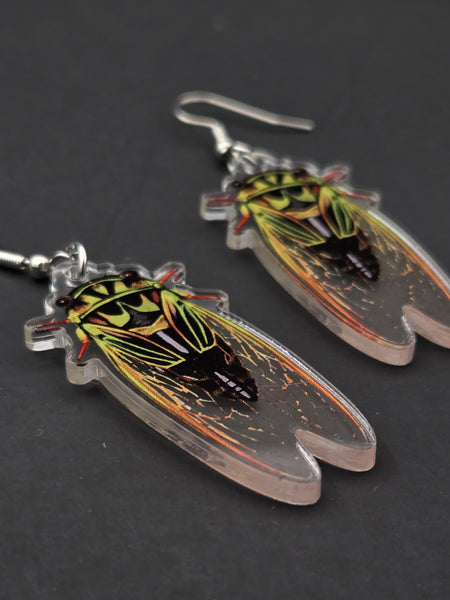 Cicada-shaped laser-cut acrylic earrings on a dark background