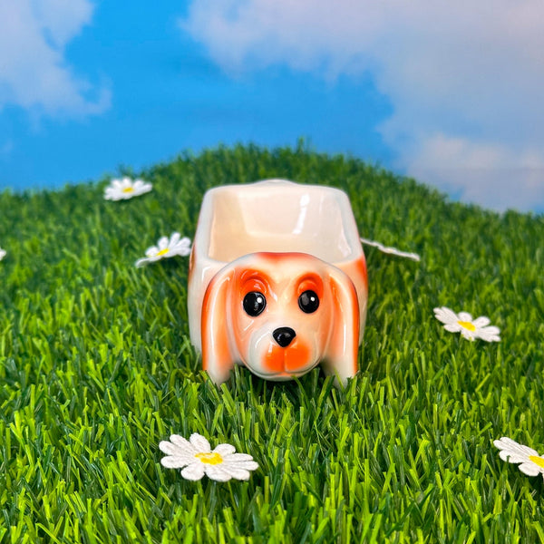 ceramic ashtray in the shape of a beige dachshund dog with orange details and black eyes & nose. The back of the dog is indented to form the tray area. Shown from front on fake green grass background