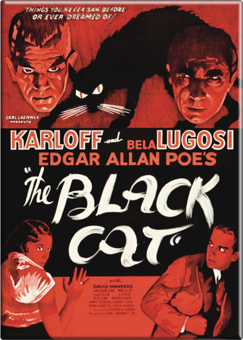 rectangular fridge magnet of poster art for 1934 movie "The Black Cat"