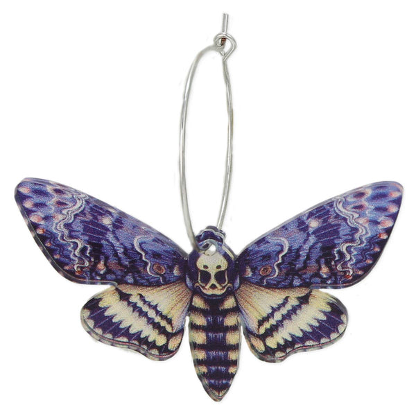 printed acrylic Death's-head hawkmoth hanging on a silver metal wire hoop