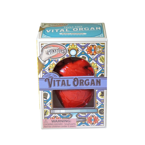 Red rubber squeeze toy in the shape of an anatomical heart shown in cardboard packaging from front