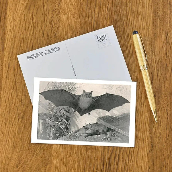Postcard with a bat illustration on a wooden surface with a pen.