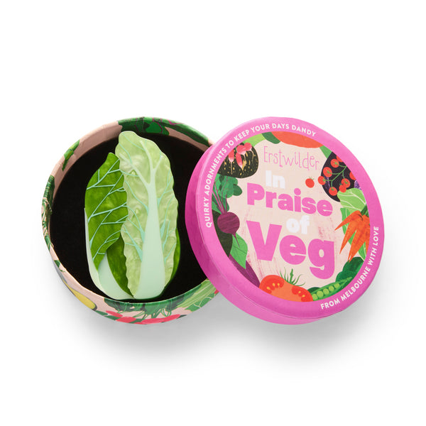 head of green napa cabbage layered acrylic resin brooch, shown n illustrated round box packaging