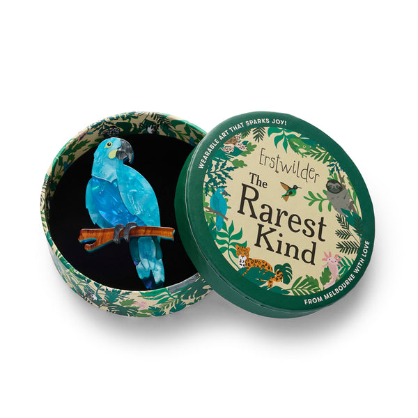 Blue parrot perched on a branch acrylic resin brooch, shown in illustrated round box packaging