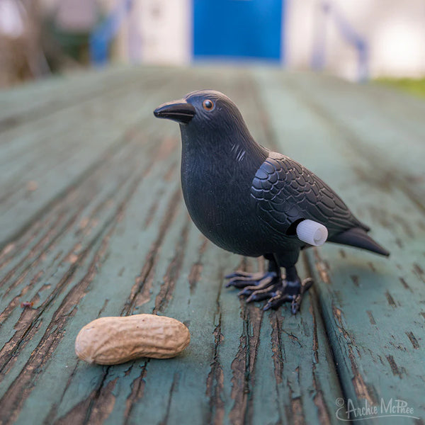 A black plastic crow toy that hops when wound up