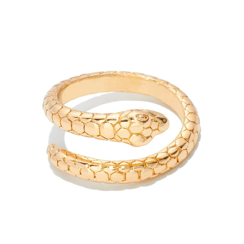 Gold metal ring in the shape of a snake wrapped around the wearer’s finger