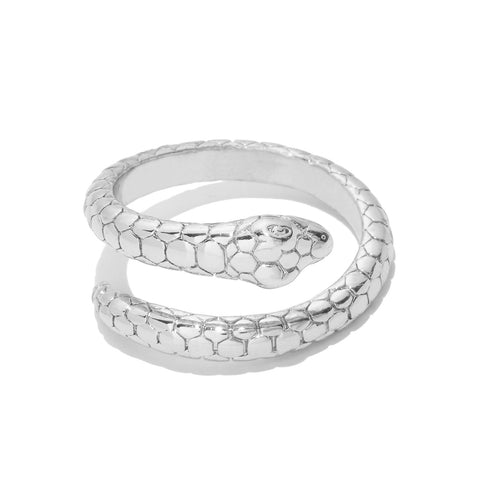 Silver metal ring in the shape of a snake wrapped around the wearer’s finger