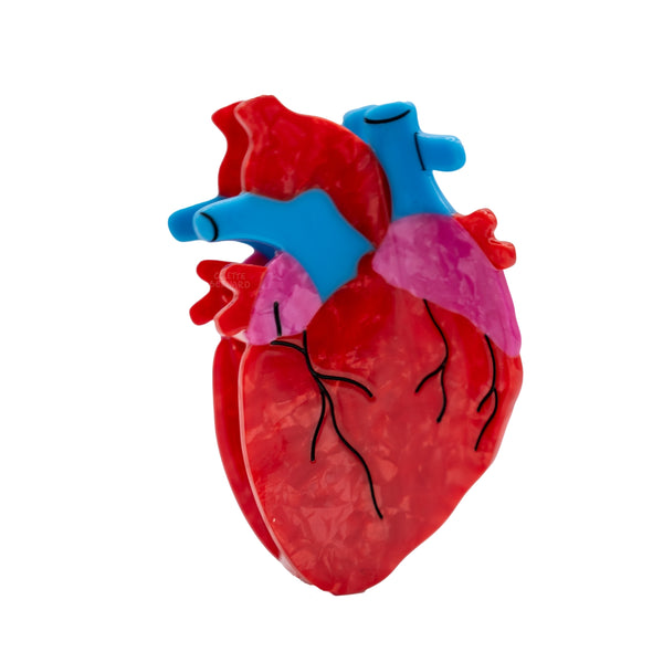 bioacetate claw style hair clip in the shape of an anatomical heart in marbled red and pink & solid blue with black line detail. Shown from front
