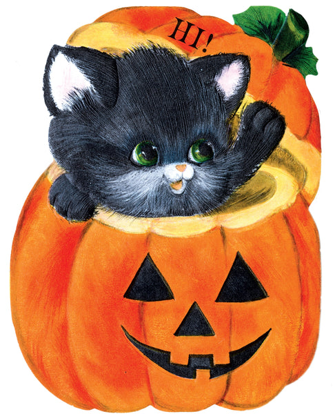 A cute black kitten with green eyes peering out of a carved orange jack-o'-lantern pumpkin, with a second pumpkin behind it and the word 'HI!' printed on it.