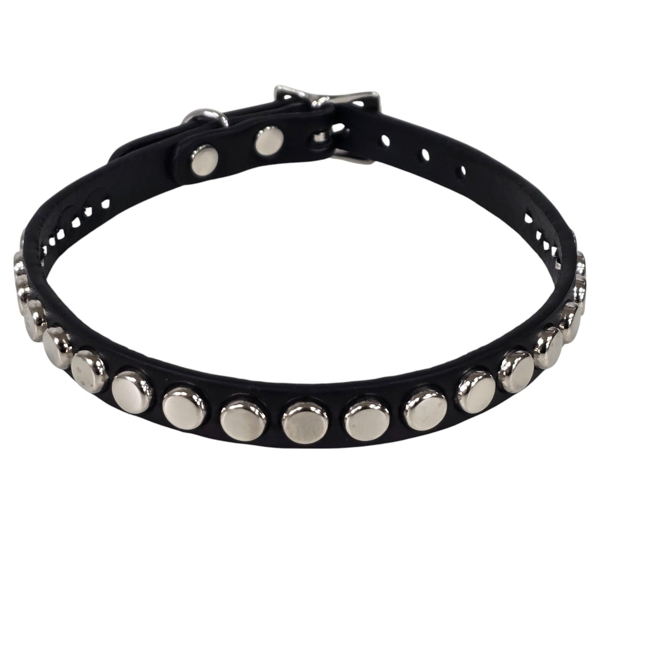 Black leather choker with silver nailhead studs and silver buckle on a white background