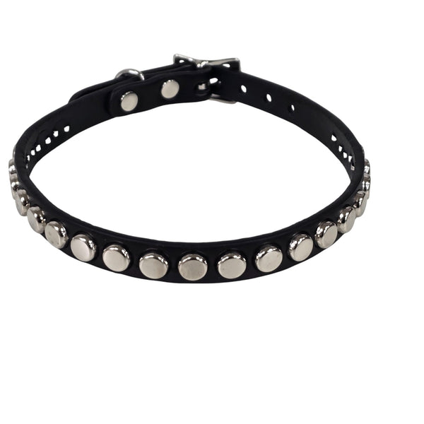 Black leather choker with silver nailhead studs and silver buckle on a white background