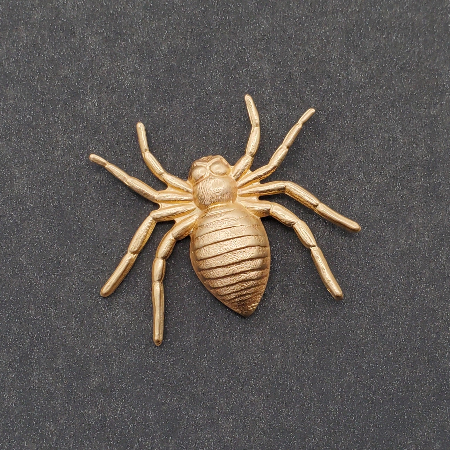 Brass Spider Brooch in Gold by Metal Cloth & Wood