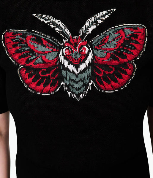 Detail of moth image shown up close on sweater bust