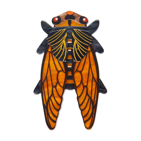 Jocelyn Proust Collaboration Collection "Cicadian Rhythms" layered resin cicada brooch