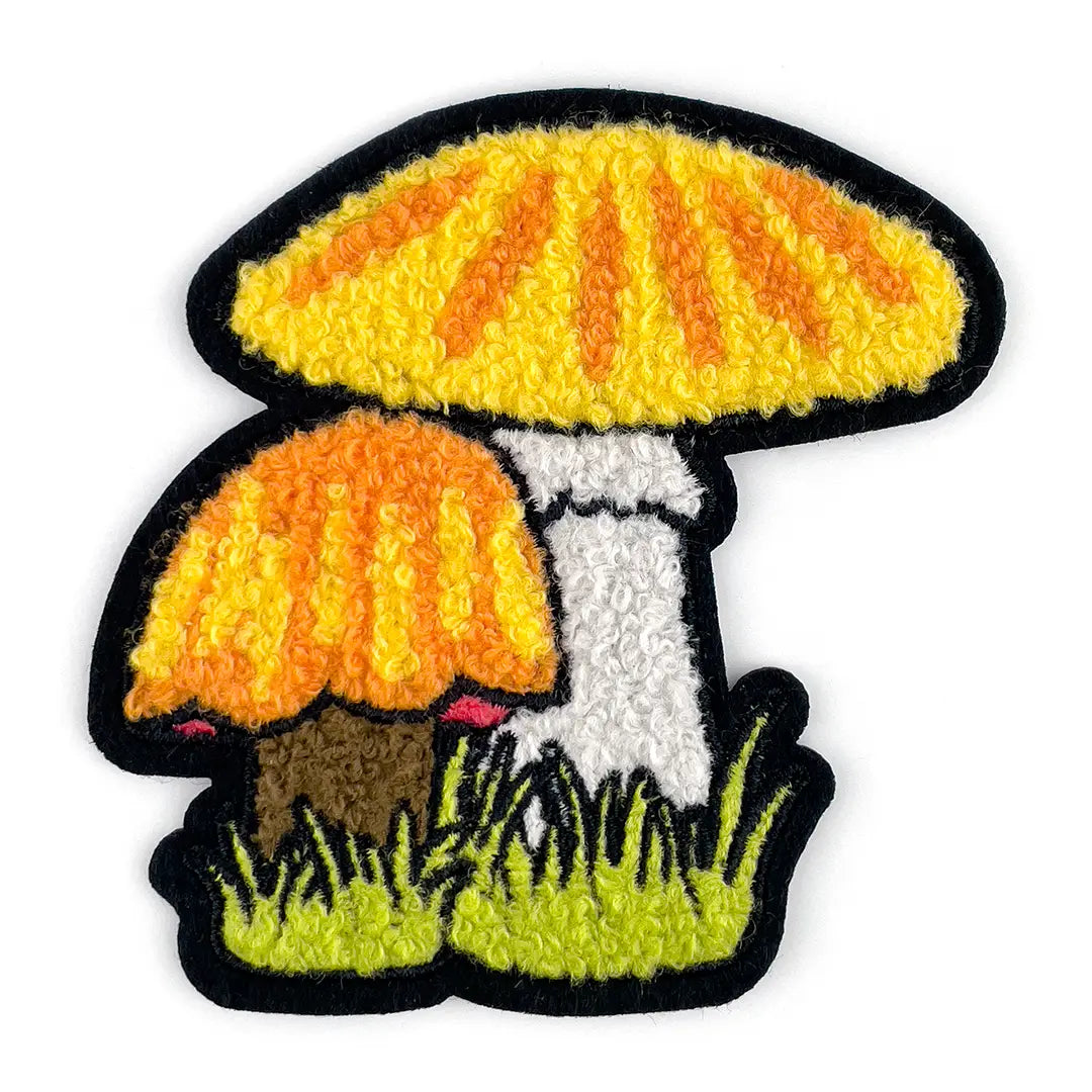A chenille patch of two orange and yellow Chanterelle mushrooms surrounded by green grass. There is a black outline around the patch 