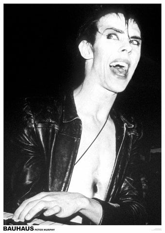 Bauhaus' Peter Murphy on stage looking to the side 24" x 36" photographic image poster