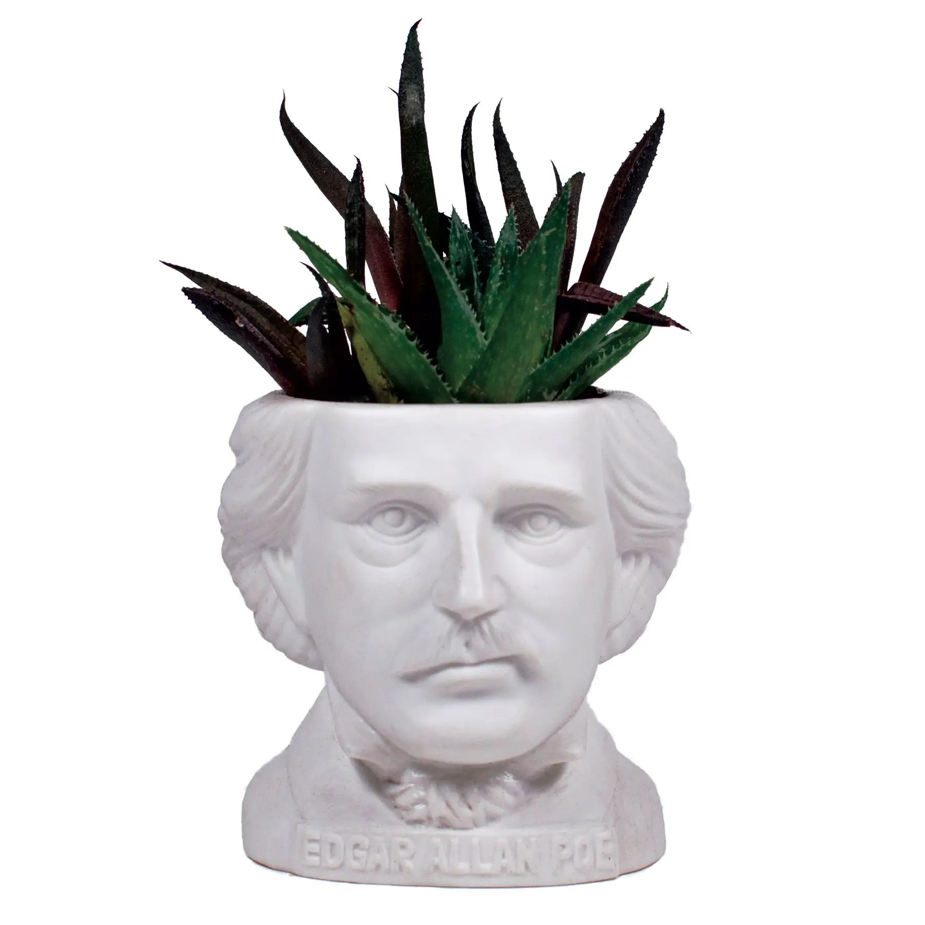 A matte off white bisque miniature planter in the shape of a bust of Edgar Allen Poe with a small aloe plant growing out of it