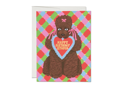 Greeting card of brown poodle with valentine in its mouth that says “Happy Birthday Stupid”. On a pink, green, blue, and red checkered background with small gold hearts