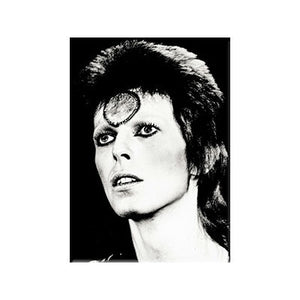 David Bowie as Ziggy Stardust Mick Rock portrait in stark black & white on a 2.5" x 3.5" magnet