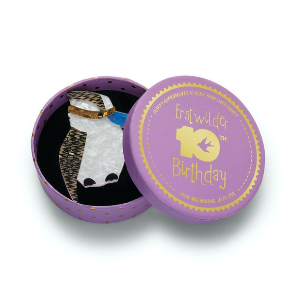 "Kallista the Kookaburra" white, textured brown, and blue layered resin bird brooch, shown in illustrated round box packaging