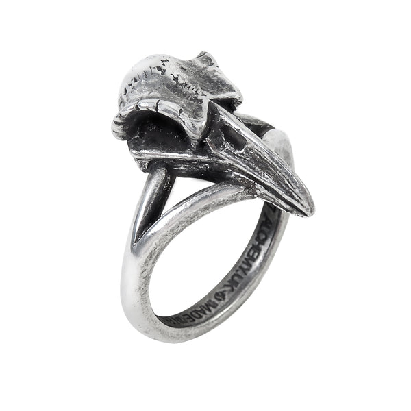 7/8" antiqued pewter raven bird skull on slim band ring