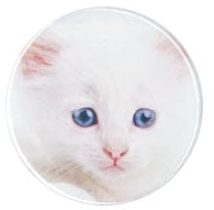 color phot portrait image of blue-eyed white kitten face on 2.5" round metal pinback button