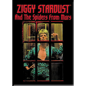 2.5" x 3.5" rectangular magnet featuring David Bowie's The Rise and Fall of Ziggy Stardust and the Spiders from Mars album back cover image