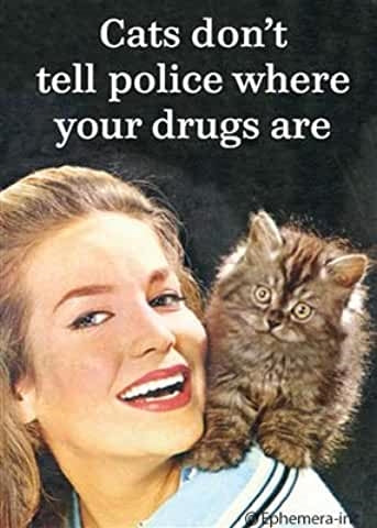"Cats don't tell police where your drugs are" message woman cat on shoulder photograph 3" x 4" rectangular refrigerator magnet