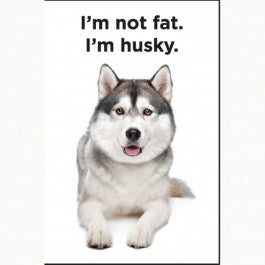 "I'm Not Fat I'm Husky" text above dog rectangular magnet