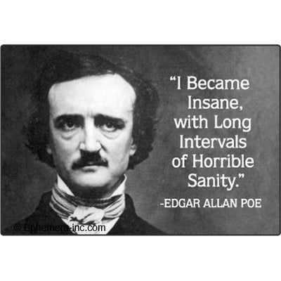 "I became insane, with long intervals of horrible sanity." quote next to Edgar Allan Poe portrait 4" x 3" rectangular refrigerator magnet 