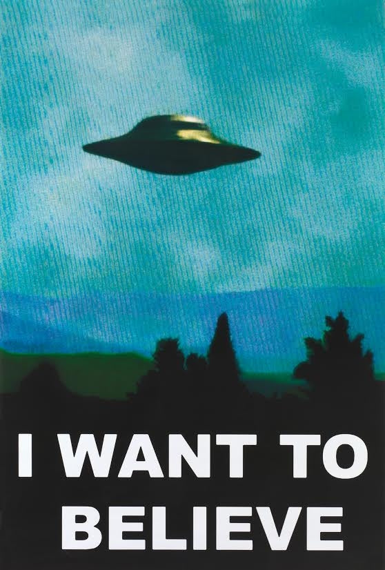 "I Want to Believe" flying saucer over wooded landscape 24" x 36" color poster, as seen on the tv show, The X-Files