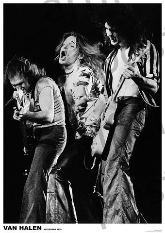Van Halen's Michael Anthony, David Lee Roth, and Eddie Van Halen performing onstage in Rotterdam 1979, black & white photographic image 24" x 36" poster
