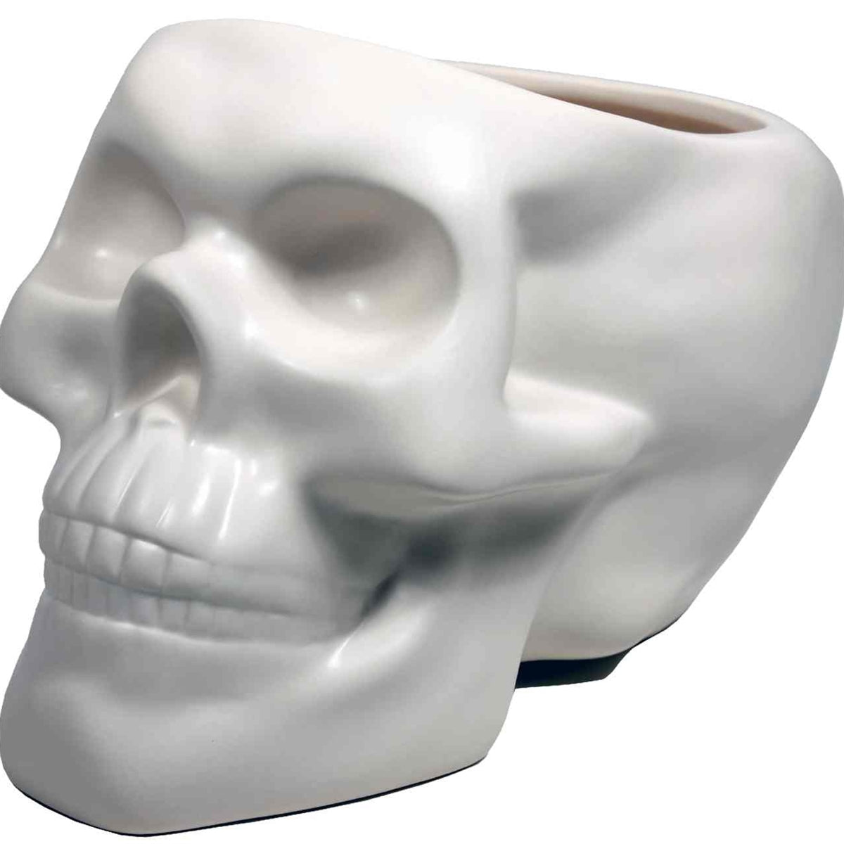 8" matte bone white ceramic anatomical skull shaped planter